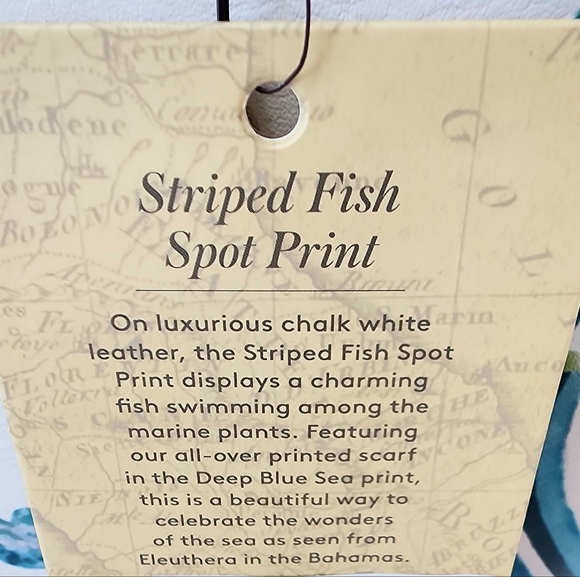 Patricia Nash Framed Laureana Striped Fish Spot Print Bag & Scarf NWT - Picture 7 of 11